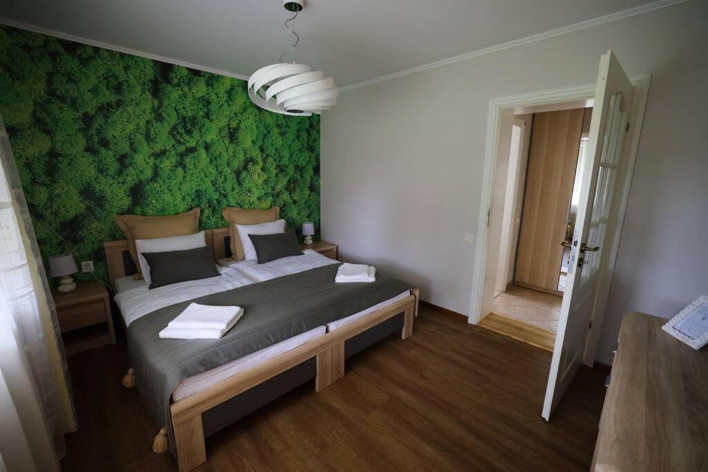 Greenland Apartments Cēsis Eksteriør bilde